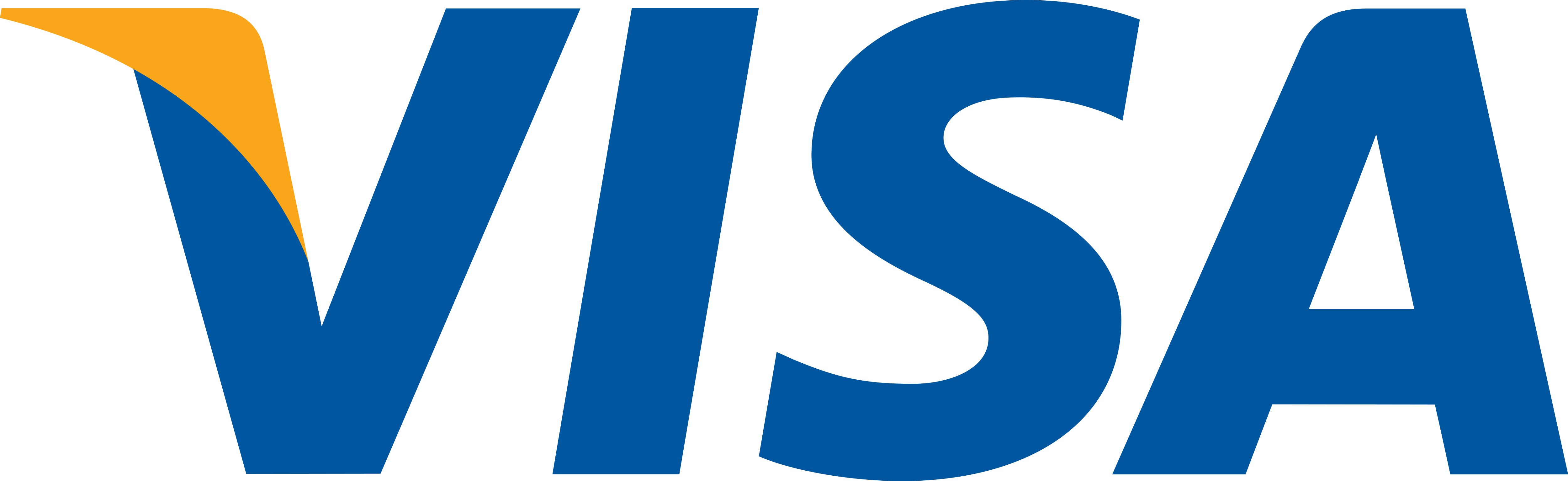 visa logo 1